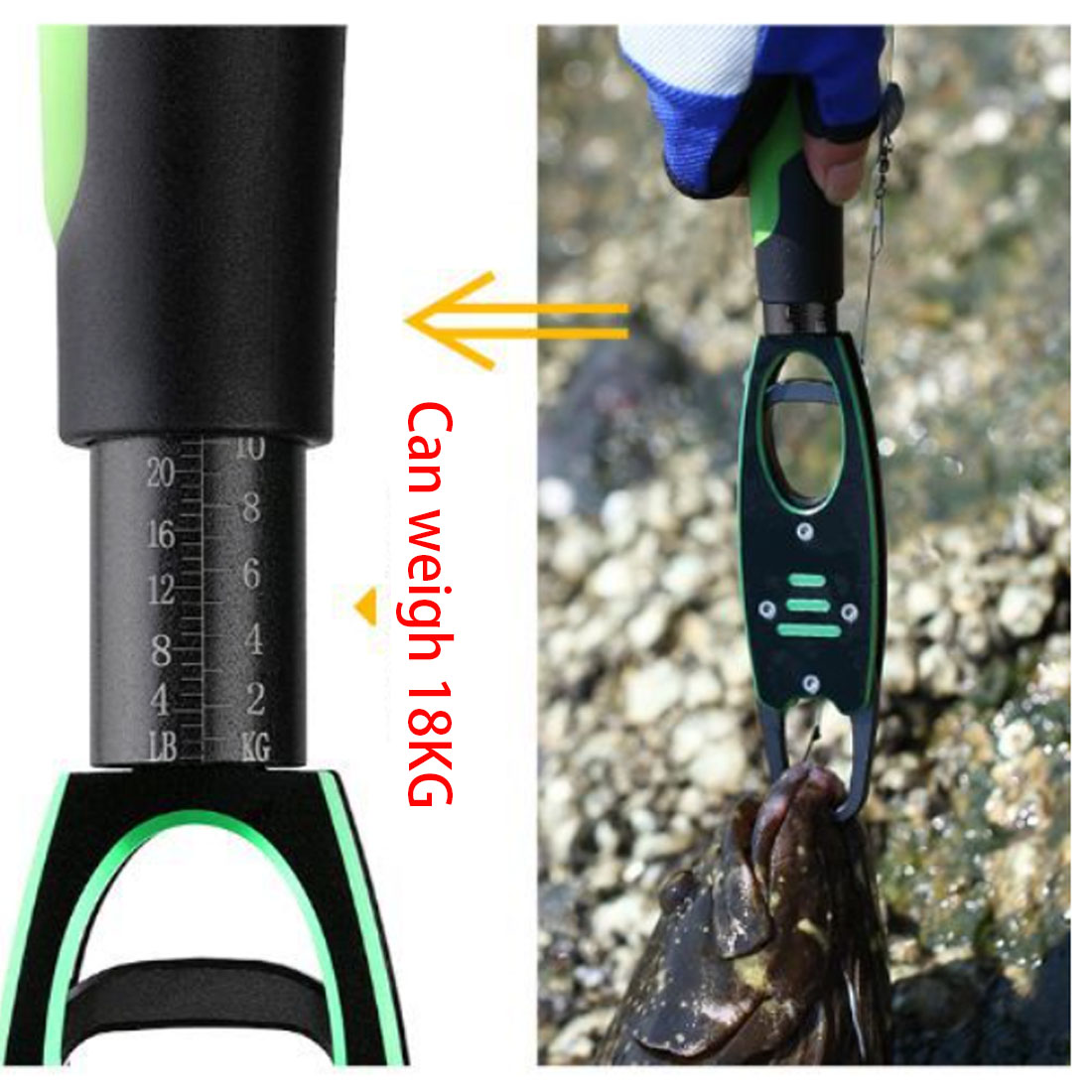 TAKEDO gorąca sprzedaż BL-040  – Fishing Pliers recenzja i cena
